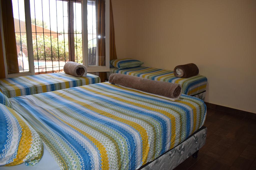 Tucan Hostel Пуэрто-Игуасу Экстерьер фото